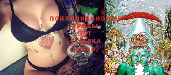 стаф Алексин