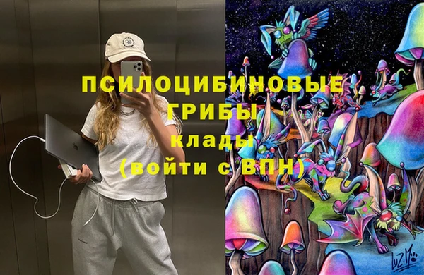 стаф Алексин