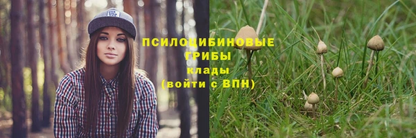меф Алзамай