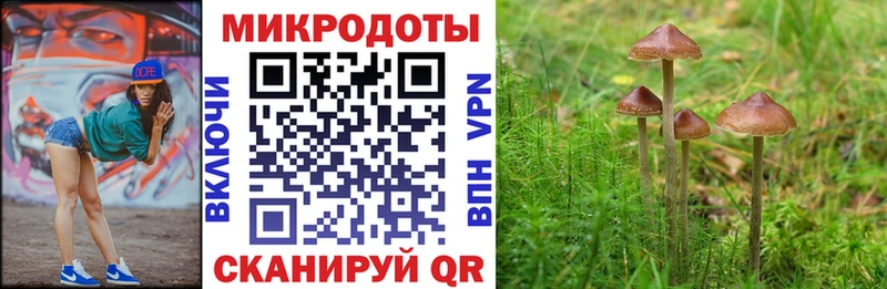 сайты даркнета Telegram  blacksprut как зайти  Галлюциногенные грибы прущие грибы  Омск  купить  